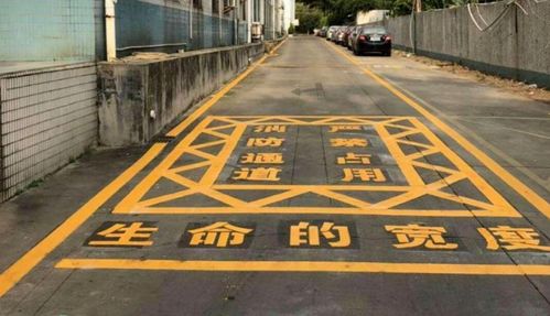 司機車內猝死仍被貼條 惋惜的是生命,不解的是執(zhí)法程序