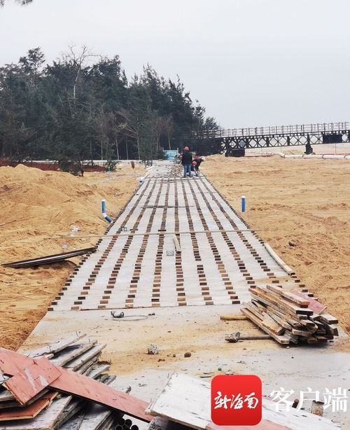 原創組圖 ?？谖骱０敦炌ǜ鹿こ套钚逻M展 國際會展中心附近沿海新建路完成瀝青路面鋪設